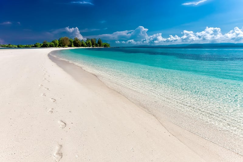 Beach Hopping Image